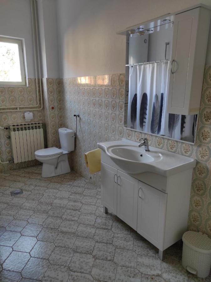 Apartman Vlado Ζαντάρ Εξωτερικό φωτογραφία