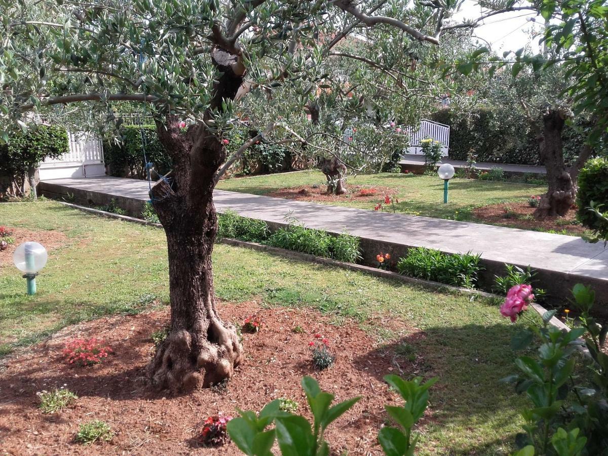 Apartman Vlado Ζαντάρ Εξωτερικό φωτογραφία